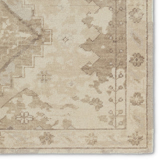 Jaipur Living Kai KAI13 Area Rug Detail Image