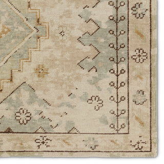 Jaipur Living Kai KAI14 Area Rug Detail Image
