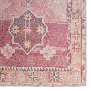 Jaipur Living Kairos Bijou KAR02 Pink/Orange Area Rug by Vibe Detail Image