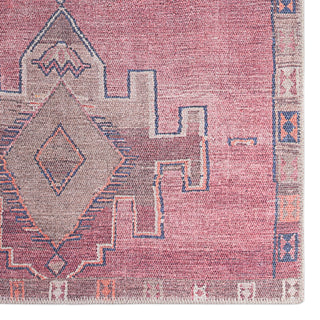 Jaipur Living Kairos Evadne KAR04 Pink/Blue Area Rug by Vibe Detail Image