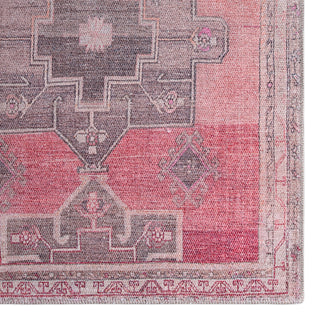 Jaipur Living Kairos Faron KAR05 Pink/Tan Area Rug by Vibe Detail Image