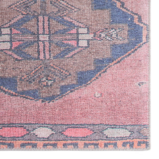 Jaipur Living Kairos Mirta KAR07 Pink/Blue Area Rug by Vibe Detail Image