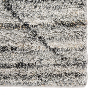 Jaipur Living Kasbah Kenzi KAS01 Gray/Brown Area Rug Detail Image