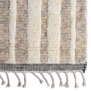 Jaipur Living Keoka Quest KEO01 Beige/Ivory Area Rug Detail Image