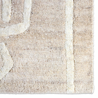 Jaipur Living Keoka KEO04 Area Rug Detail Image