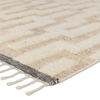 Jaipur Living Keoka Emre KEO08 Cream/Tan Area Rug Corner Image