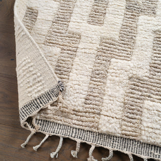 Jaipur Living Keoka Emre KEO08 Cream/Tan Area Rug Lifestyle Image