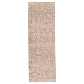Jaipur Living Kindred Marquesa KND01 Light Pink/Blue Area Rug Runner Image