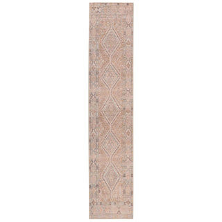 Jaipur Living Kindred Marquesa KND01 Light Pink/Blue Area Rug Runner Image