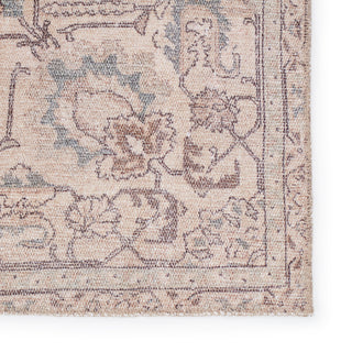 Jaipur Living Kindred Parisa KND14 Light Blue/Light Tan Area Rug Detail Image