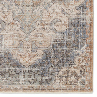 Jaipur Living Lark Lynette LAR03 Tan/Blue Area Rug Detail Image