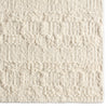 Jaipur Living Leona LEO06 Area Rug Detail Image