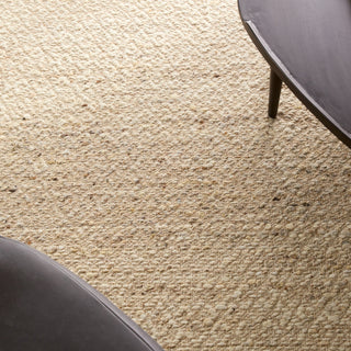 Jaipur Living Leona Folade LEO08 Natural Area Rug Detail Image