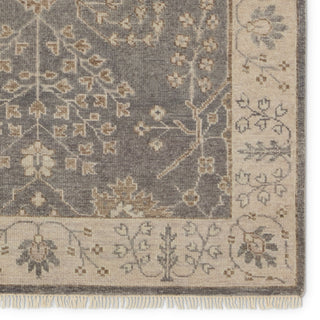 Jaipur Living Liberty Reagan LIB02 Gray/Beige Area Rug Detail Image