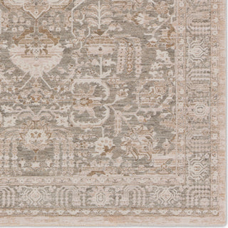 Jaipur Living Lilit Acair LIL02 Beige/Gray Area Rug