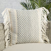 Jaipur Living Liri LIR09 by Label J Detail Image