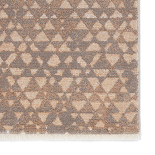 Jaipur Living Land Sea Sky Sierra Taupe/Gray Area Rug by Kevin O'Brien Detail Image