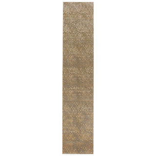 Jaipur Living Land Sea Sky Sierra Taupe/Gray Area Rug by Kevin O'Brien Runner Image