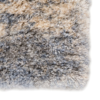 Jaipur Living Lyra Cantata LYR01 Gray/Blue Area Rug Detail Image