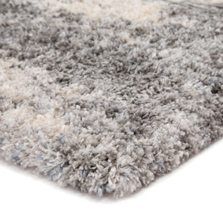 Jaipur Living Lyra Elodie LYR02 Gray/Ivory Area Rug Corner Image