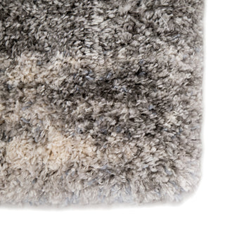 Jaipur Living Lyra Elodie LYR02 Gray/Ivory Area Rug Detail Image