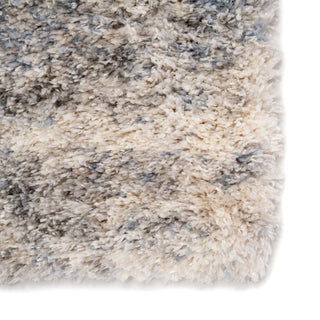 Jaipur Living Lyra Harmony LYR03 Light Gray/Blue Area Rug Detail Image
