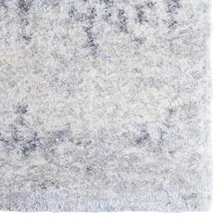 Jaipur Living Lyra Serenade LYR04 Ivory/Light Gray Area Rug Detail Image
