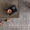 Jaipur Living Medea Royse MDE01 Blue/Gray Area Rug Main Image