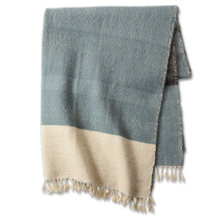 Jaipur Living Margosa Aslopa MGT04 Blue Throw by Neem Backing Image
