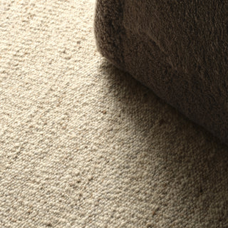 Jaipur Living Melera Sitari MLR02 Tan Area Rug main image