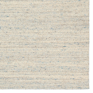 Jaipur Living Melera Sitari MLR03 Gray Area Rug Detail Image