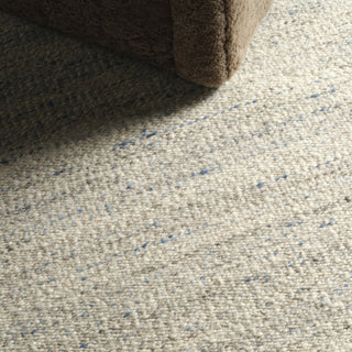 Jaipur Living Melera Sitari MLR03 Gray Area Rug Main Image