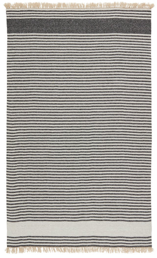 Jaipur Living Morro Bay Strand MRB01 Dark Gray/Beige Area Rug by Vibe main image