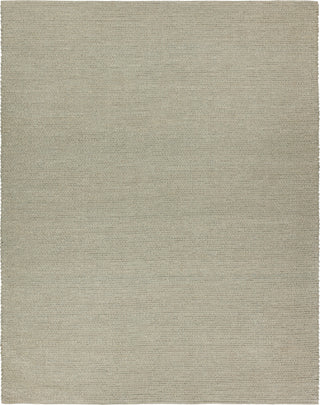 Jaipur Living Masai Envelop MSI02 Taupe/Gray Area Rug