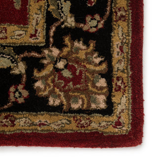 Jaipur Living Mythos Anthea MY08 Red/Black Area Rug Detail Image