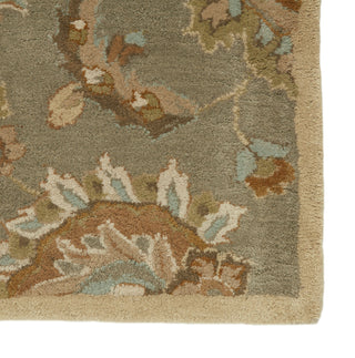 Jaipur Living Mythos Abers MY14 Gray/Beige Area Rug Detail Image
