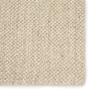 Jaipur Living Naturals Sanibel Naples NAS07 White/Taupe Area Rug Detail Image