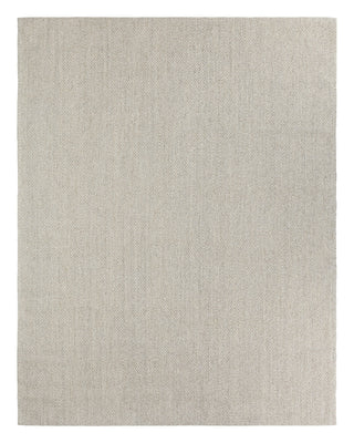 Jaipur Living Naturals Sanibel Tristan NAS12 Tan/ Area Rug Main Image