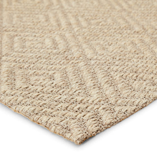 Jaipur Living Naturals Tobago Tampa NAT07 Gray Area Rug Corner Image