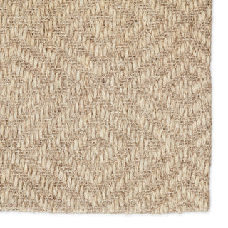 Jaipur Living Naturals Tobago Tampa NAT07 Gray Area Rug Detail Image