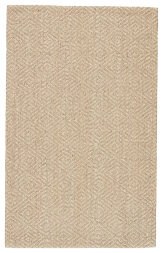 Jaipur Living Naturals Tobago Tampa NAT07 Gray Area Rug main image