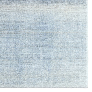 Jaipur Living Newport by Barclay Butera Bayshores NBB04 Blue/Beige Area Rug Detail Image