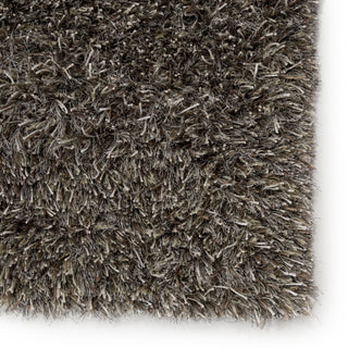 Jaipur Living Nadia ND01 Silver/Tan Area Rug Detail Image