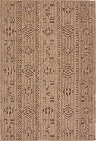 Jaipur Living Nambe Sahel NMB03 Brown Area Rug by Vibe