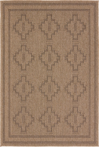 Jaipur Living Nambe Adrar NMB04 Brown/Black Area Rug by Vibe