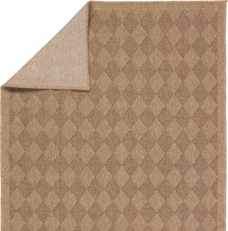 Jaipur Living Nambe Amanar NMB05 Brown Area Rug by Vibe