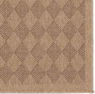 Jaipur Living Nambe Amanar NMB05 Brown Area Rug by Vibe