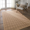 Jaipur Living Nambe Amanar NMB05 Brown Area Rug by Vibe