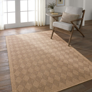 Jaipur Living Nambe Amanar NMB05 Brown Area Rug by Vibe