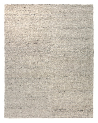 Jaipur Living Navarra Burch NVA01 Cream/Gray Area Rug main image